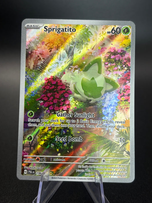 Sprigatito (196) — Paldea Evolved — Excellent