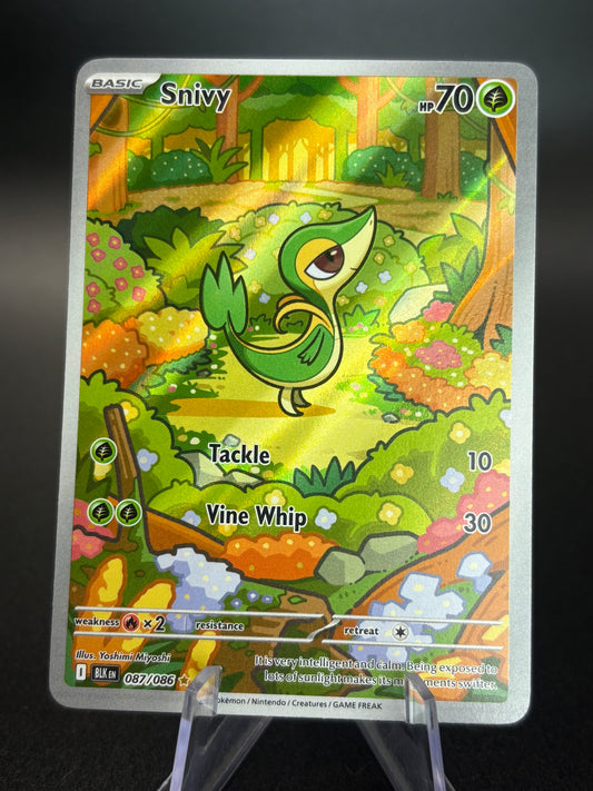 Snivy (87) — Black Bolt — Excellent
